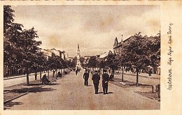 Aleja Najśw. Marii Panny