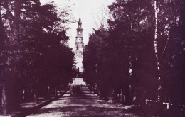 Aleja pomiędzy parkami