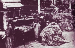 Hala zgrzeblarni STRADOM