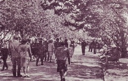 Niedzielna przechadzka