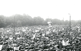 Pielgrzymka Ludzi Pracy