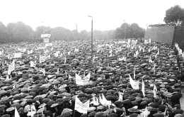 Pielgrzymka Ludzi Pracy