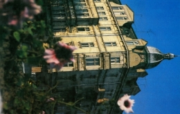 al. NMP, Dom Frankego