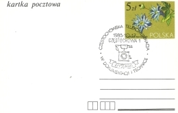 Częstochowska Telekomunikacja