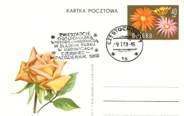 Święto kwiatów. Wrocław