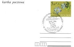 Częstochowska Telekomunikacja