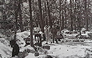 Cmentarzysko kultury łużyckiej