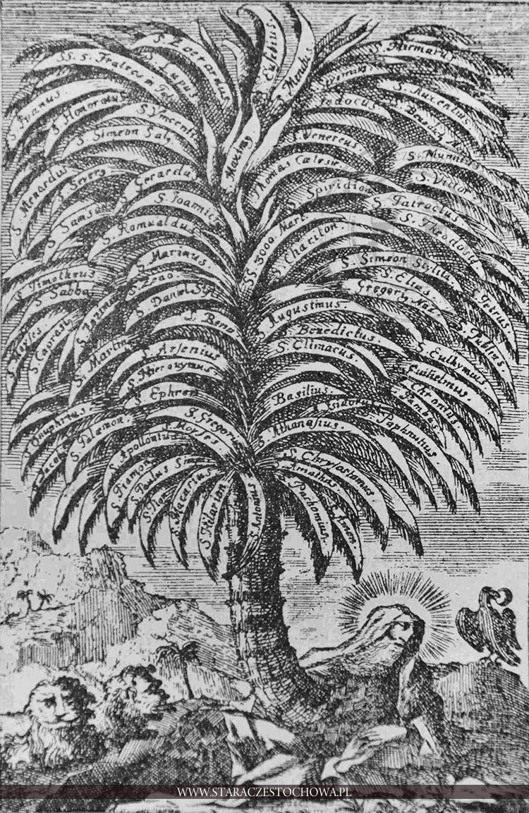 Drzewo genealogiczne rodziny paulińskiej