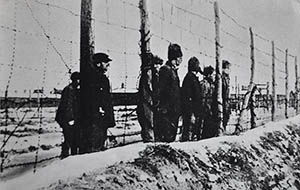 Stalag 367- Warthelager