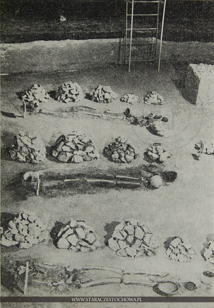 Fragment cmentarzyska z widocznym rzędowym układem grobów